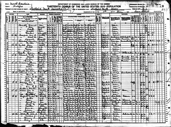 1910 US Census W H Newell and Fam