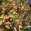 KWP_20131026_007