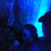 IMG_20190403_175258348